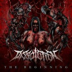Dissolution (CZ) : The Beginning